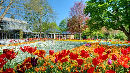 Blütenpracht im Kurpark Bad Krozingen