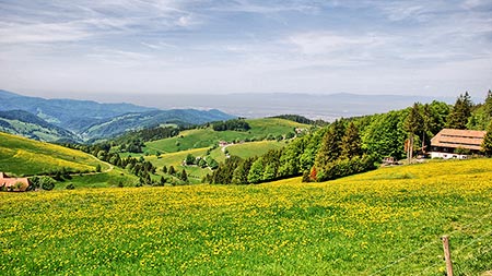 Ausblick vom Schauinsland in Richtung Rheinebene und Vogesen