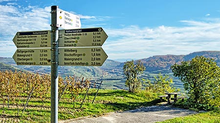 Wandern am Kaiserstuhl